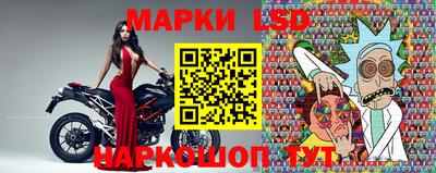амф Можга