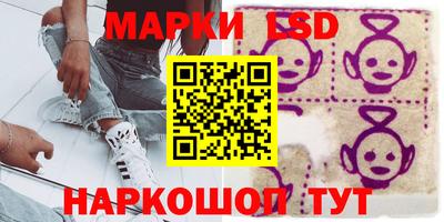 амф Можга